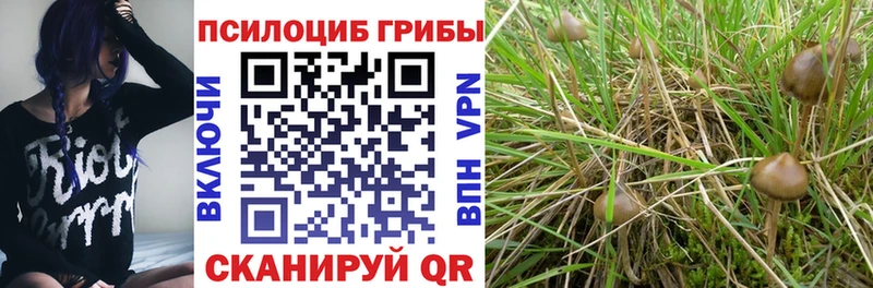Галлюциногенные грибы ЛСД Верея
